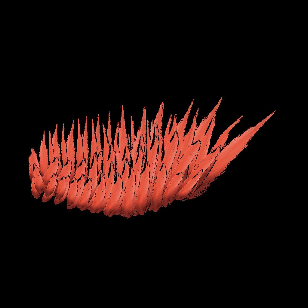 Preview of animals bird wing