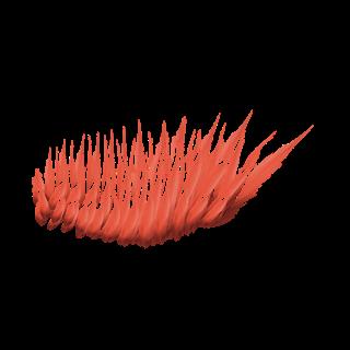 Preview of animals bird wing