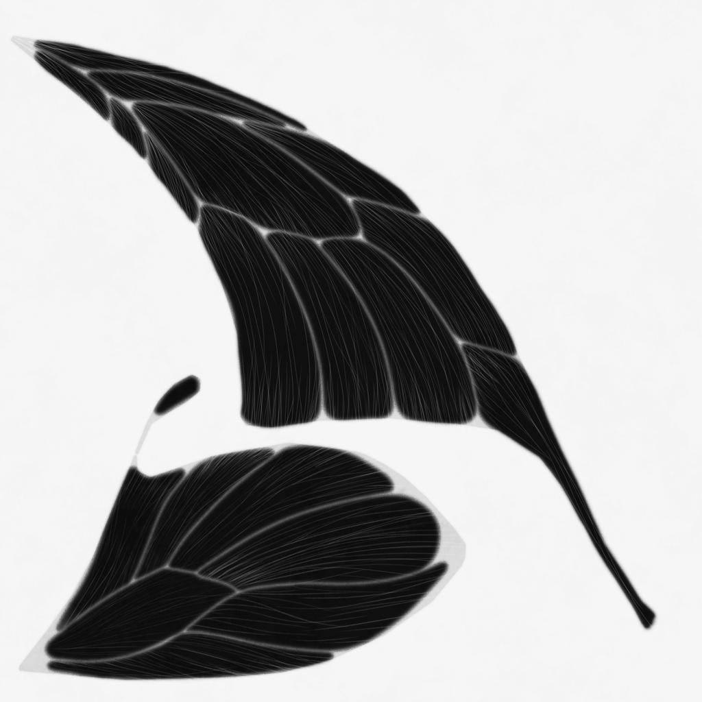 Preview of animals butterflywings02 greyscale