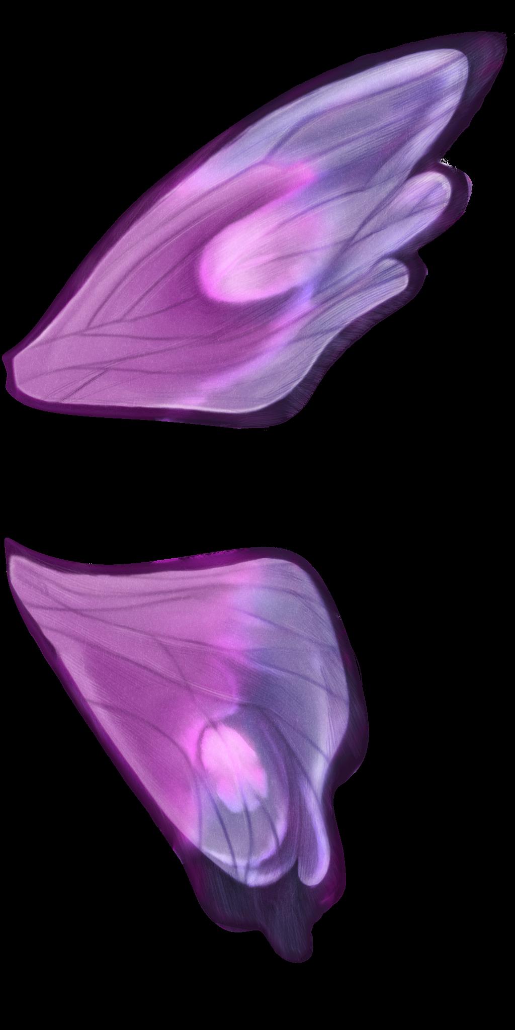 Preview of animals butterflywings 01