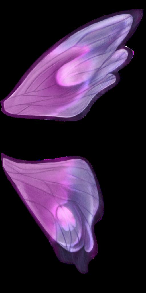 Preview of animals butterflywings 01