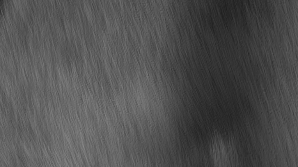 Preview of animals fur 01