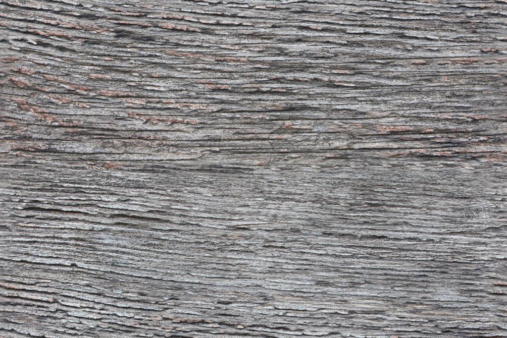 Preview of bark grey 01