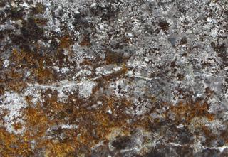 Preview of concrete mossy 01