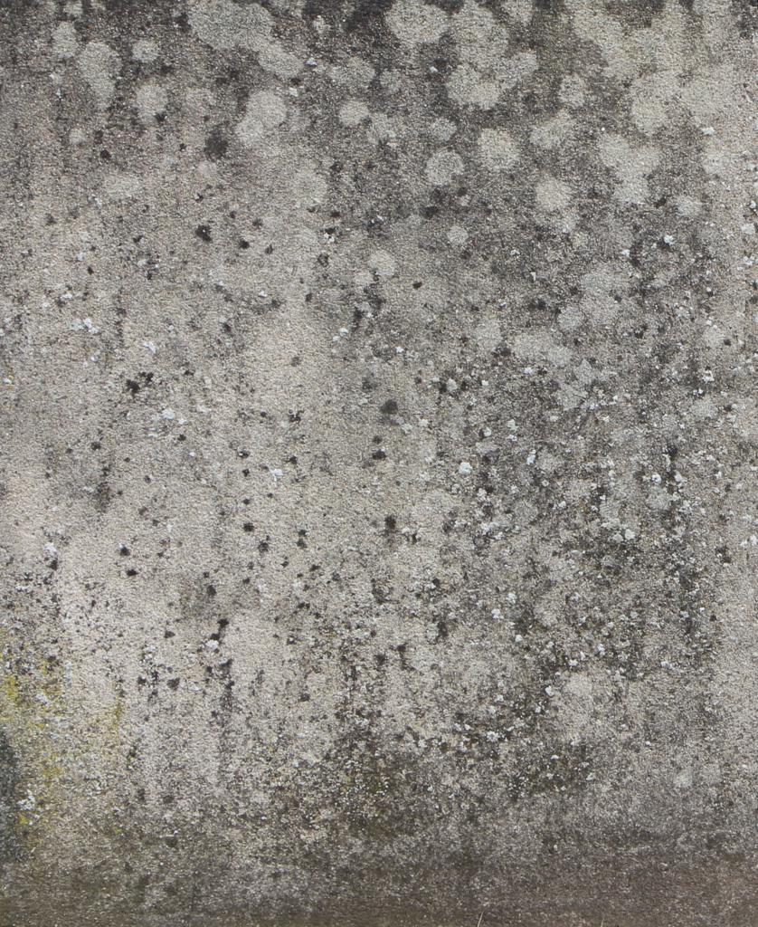 Preview of concrete wall 06