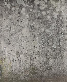 Preview of concrete wall 06