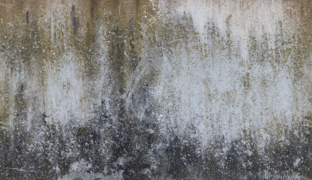 Preview of concrete wall 12