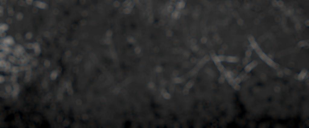 Preview of effects optical lensdust