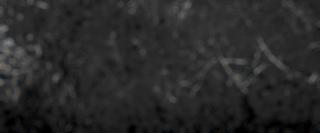Preview of effects optical lensdust