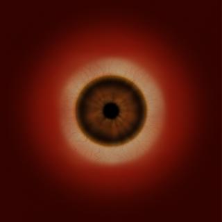 Preview of eye whole dragon