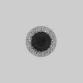 Preview of eye whole grey dotted