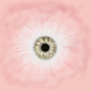 Preview of Eyes