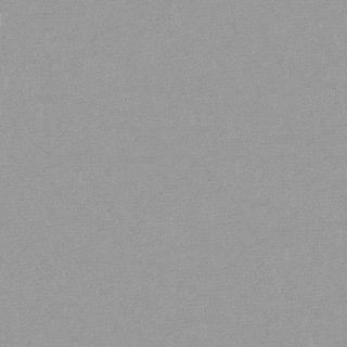 Preview of fabric solid 19
