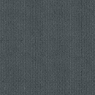 Preview of fabric solid 27