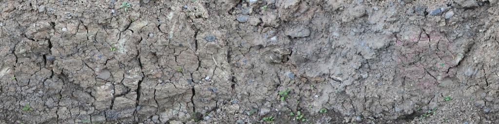Preview of earth side cracked
