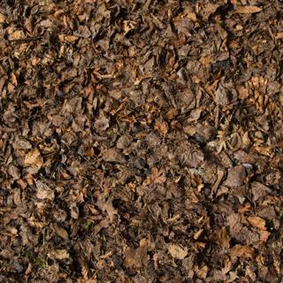 Preview of eisklotz dead leaves 01