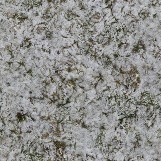 Preview of grass snow 03