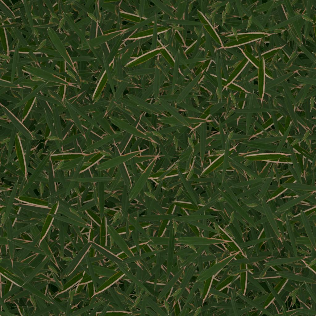 Preview of ground bamboo leaves