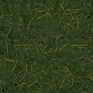 Preview of ground bamboo leaves