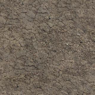 Preview of ground cracked dirt 05