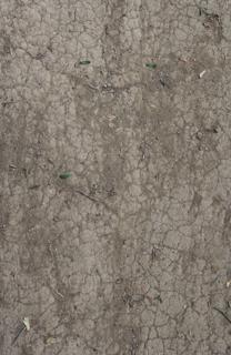 Preview of ground dirt raw 03