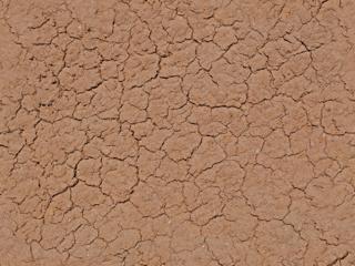 Preview of ground dry crackles