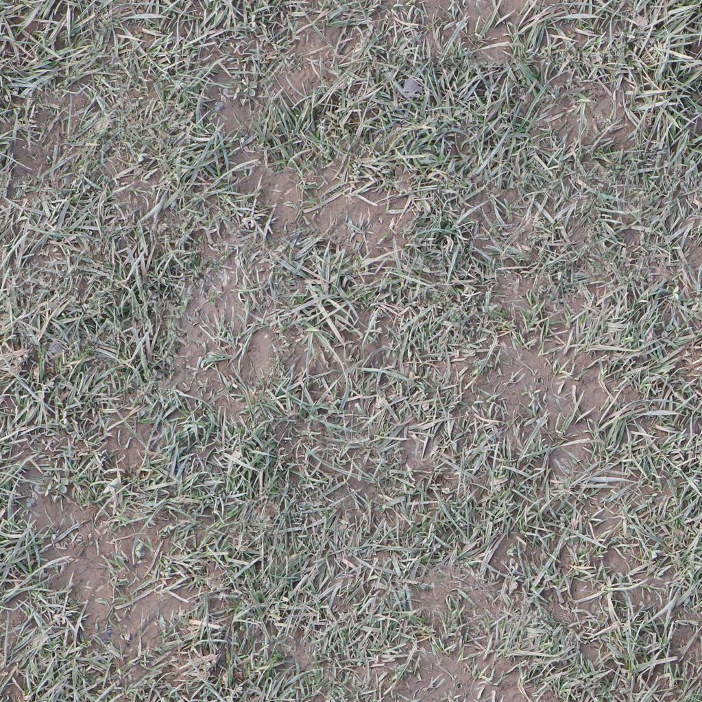 Preview of ground dry grass 01