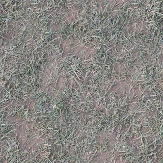 Preview of ground dry grass 01