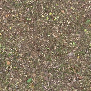 Preview of ground forest 01