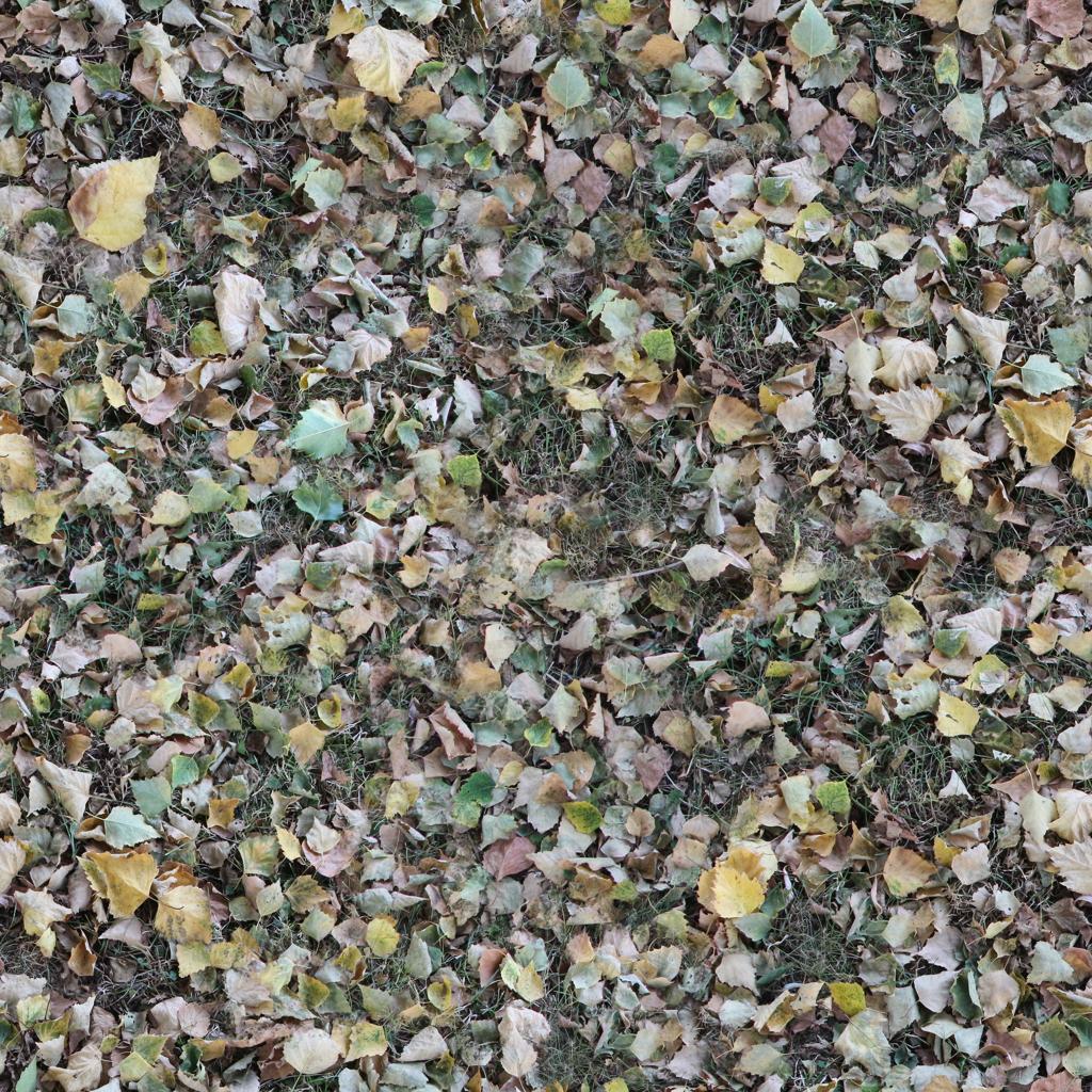 Preview of ground leaves 02