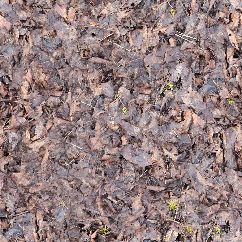 Preview of ground leaves 04