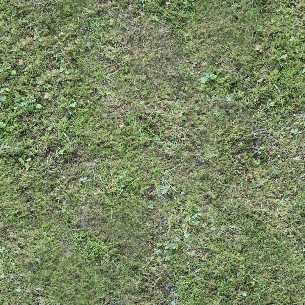 Preview of ground mossy 01