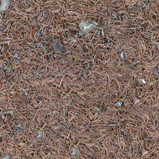 Preview of ground needles 01