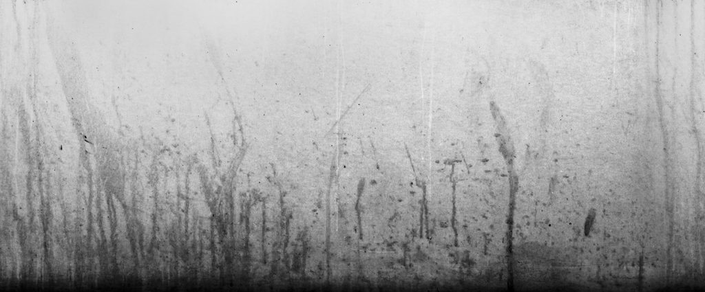 Preview of grunge lower edge 02