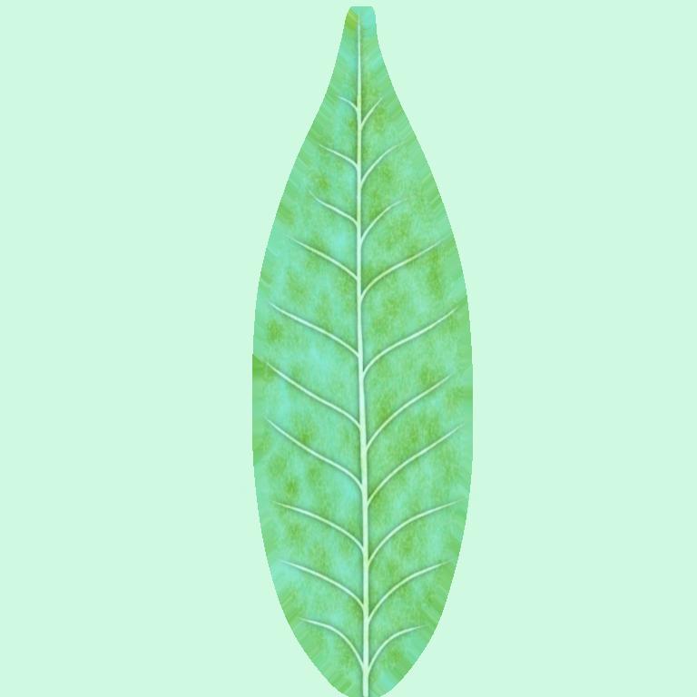 Preview of plants leaf bush col stylized
