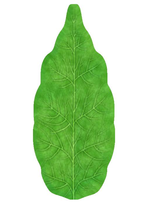 Preview of plants leaf chestnut col stylized