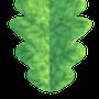 Preview of plants leaf oak col stylized