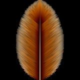 animals_feathers_brown