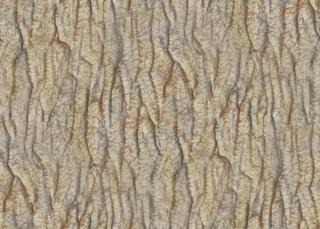 bark_chestnut_stylized-color-m.jpg