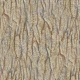 bark_chestnut_stylized