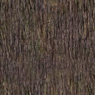 bark_dark-color-m.jpg