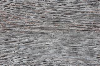 bark_grey_01-color-m.jpg