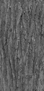 bark_grey_02-color-m.jpg