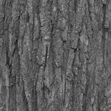 bark_grey_02