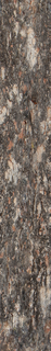 bark_long_02-color-m.jpg