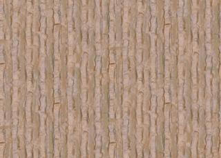 bark_oak_stylized-color-m.jpg