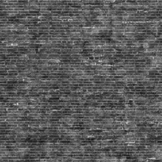 brick_dutch_soft-specular-m.jpg