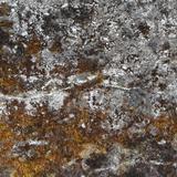 concrete_mossy_01