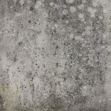 concrete_wall_06