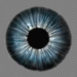 eye_iris_blue_greyish_detailed